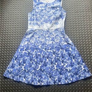 Talbots Blue and White Floral Print Sleeveless Fit and Flare Dress Size 12P